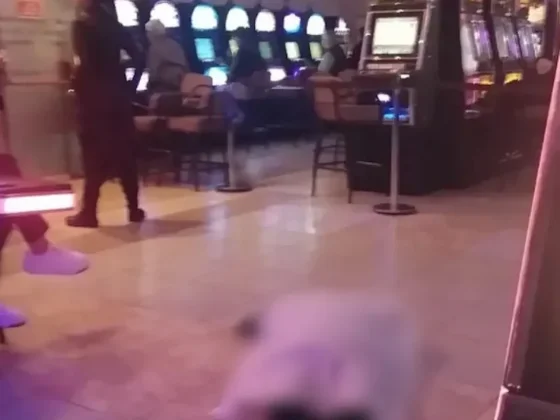 Indignación: una mujer murió en un bingo y los jugadores siguieron apostando junto al cuerpo