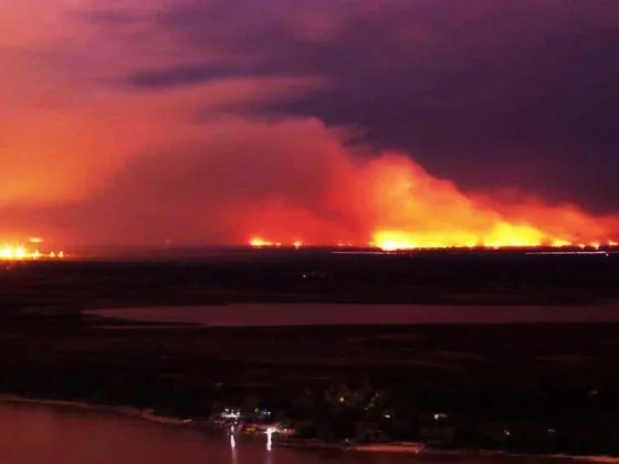 “Son kilómetros de tierra calcinada, no se cómo van a usar este suelo”: el panorama de las quemas del Paraná
