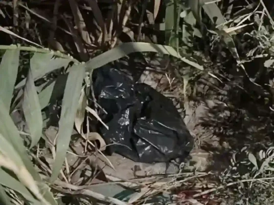 Escalofriante: Encuentran el cadáver de una beba recién nacida en una bolsa de residuos