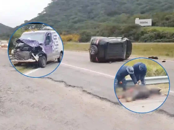 Brutal doble accidente en Salta: Caballo suelto en la RN 9 casi causa una tragedia