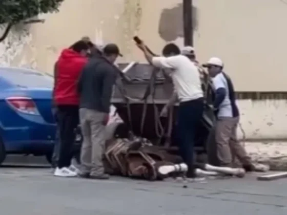 Maltrato animal en Metán: un caballo cayó por el esfuerzo extremo y causó repudio