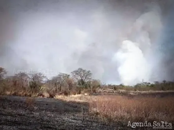 Incendio arrasa la zona de yungas y avanza hacia el Parque Nacional Calilegua