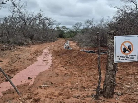 La Justicia abrió una investigación por derrames en un pozo petrolero de Pichanal