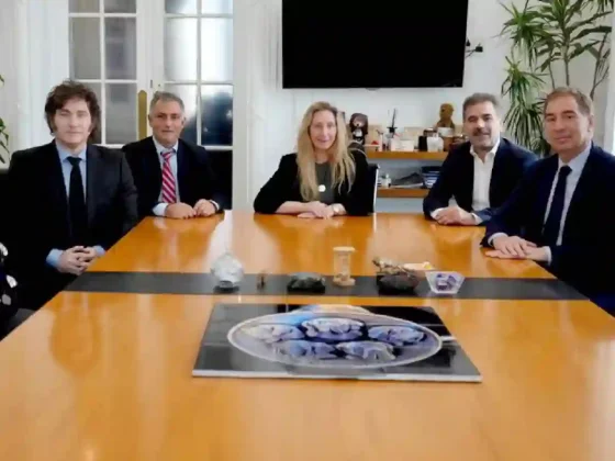 Alianza electoral en Buenos Aires: Boleta violeta y acuerdo por sección