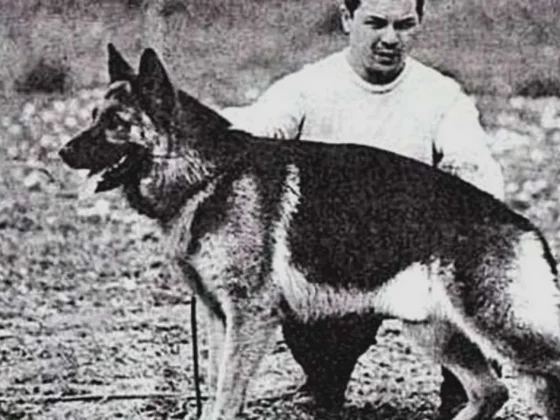 Por qué hoy se celebra el Día del Perro en la Argentina