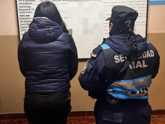 En un control vial se detuvo a una mujer con pedido de captura
