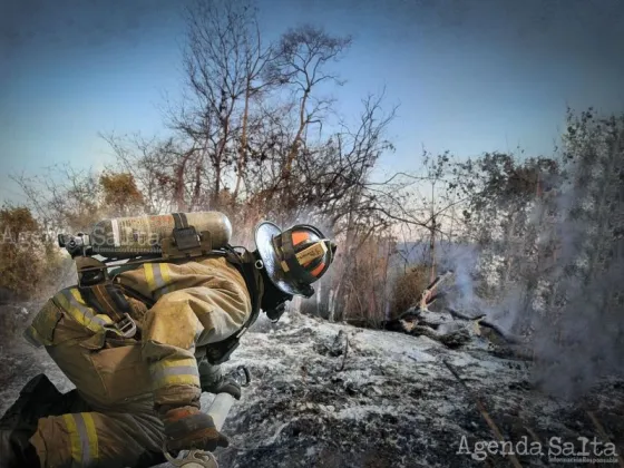 ARDE SALTA: Más de MIL hectáreas arrasadas por el fuego en Colonia Santa Rosa