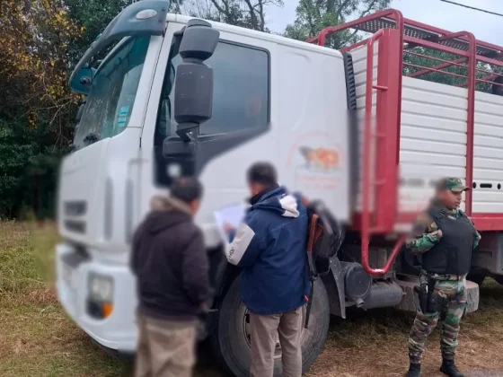 Infraccionaron a un salteño por transportar animales sin documentación sanitaria