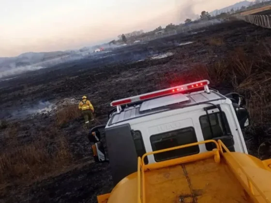La Brigada Forestal sofocó incendios de pastizales en Capital y San Luis