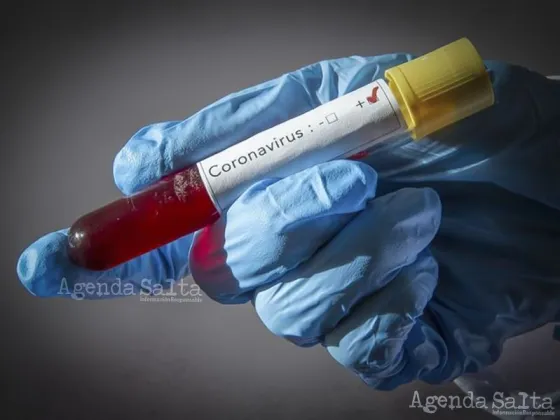 Coronavirus en Salta: Se notificaron más de 130 casos en la semana 34