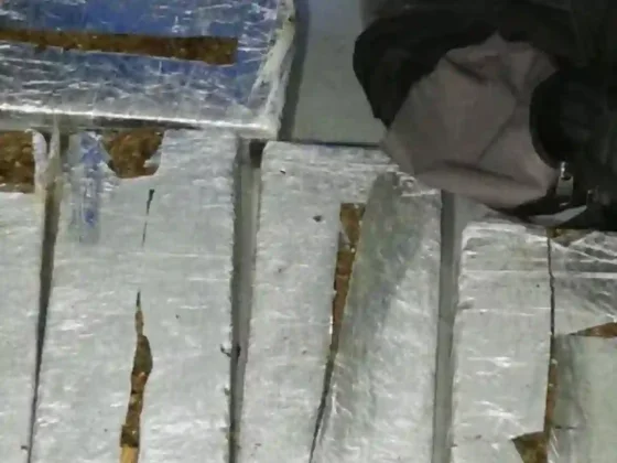 Salteño se disfrazó de turista e intentó trasladar marihuana en colectivo