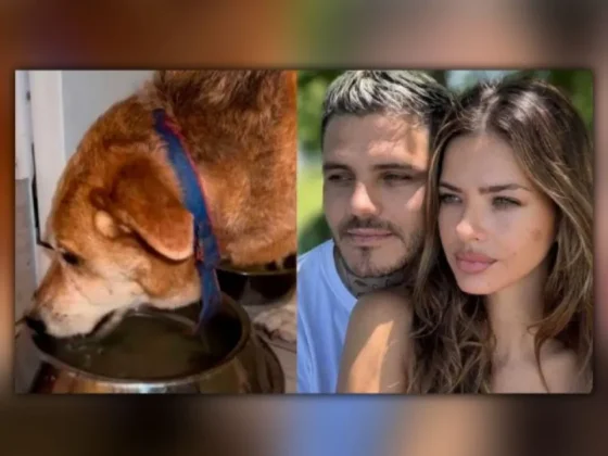 La impactante muerte de Wet, el perro de la China Suárez, que apunta a Mauro Icardi