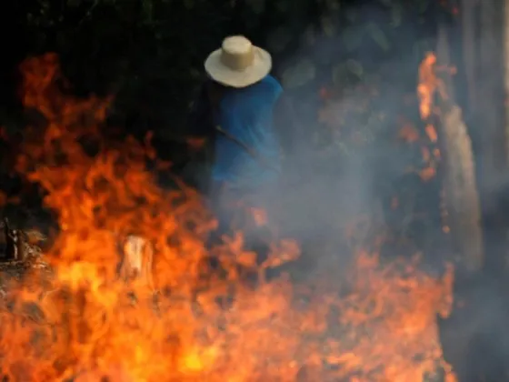 El Amazonas de Brasil y las desoladoras imágenes tras un mes récord de incendios