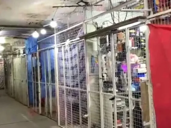 Reubican a los últimos comerciantes del Mercado San Miguel en medio de reclamos