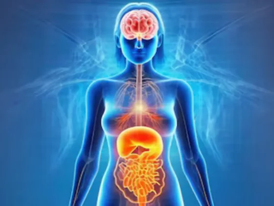 Descubren un sexto sentido del intestino que modula el apetito