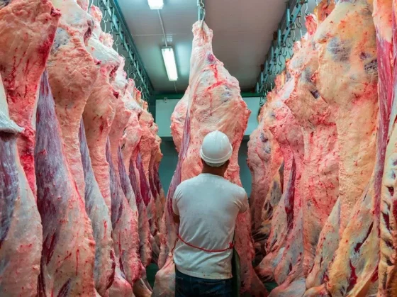 Aumento récord en la importación de carne desde Brasil a Argentina en 2025