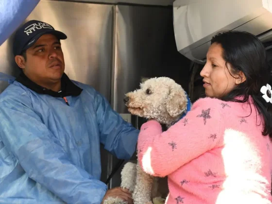 La Municipalidad anuncia jornada de castración de mascotas en General Belgrano, Sanidad y Primera Junta