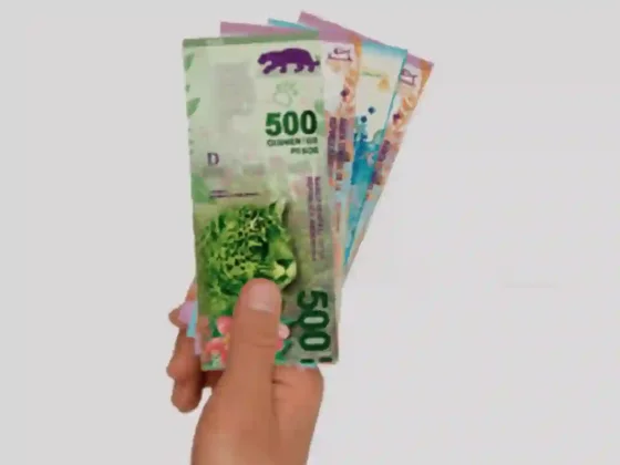 Junto a los jubilados, PUAM recibe la Compensación Económica del Gobierno