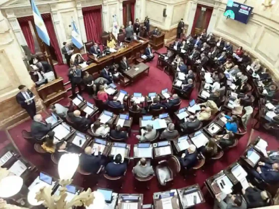 El Senado convirtió en ley el financiamiento universitario y la Ley Garrahan