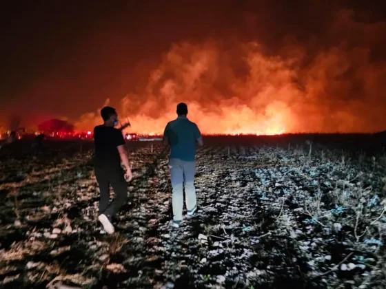 Incendios en Salta: más de 20 focos activos, barrios afectados y más de 400 llamadas al 911