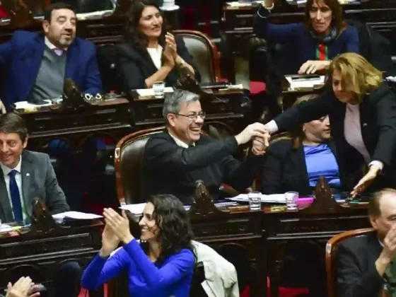Coimas en Discapacidad: el Congreso presiona para citar a Lugones y a Karina Milei