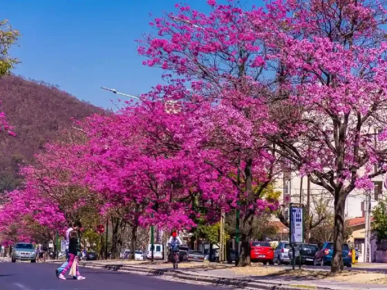 El clima en Salta: de un anticipo primaveral a días frescos y nublados