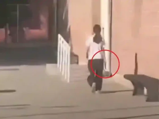 Pánico en Mendoza: una alumna ingresó armada a su colegio, realizó disparos y está atrincherada