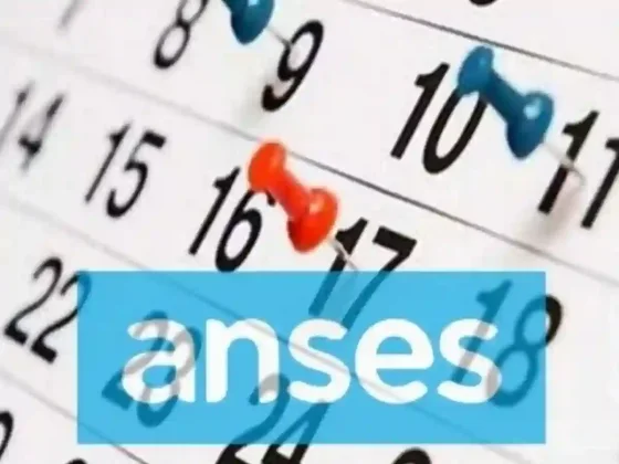 Anses: cómo queda el calendario de octubre con la reprogramación del feriado