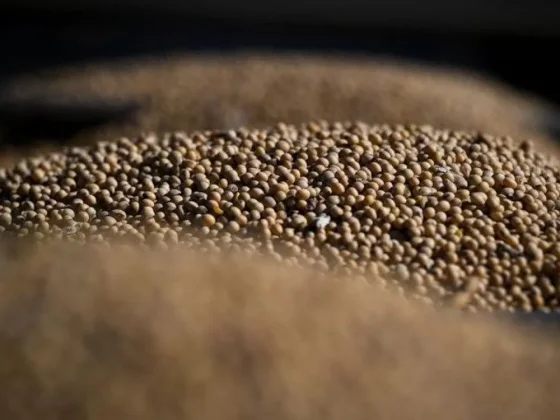 El campo ya exportó el 60% del cupo con retenciones cero y aceleran las liquidaciones