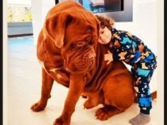 Anto Roccuzzo subió una foto con su perro Hulk y sorprendió por su tamaño
