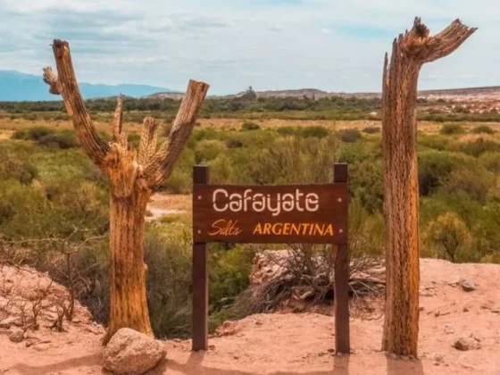 Cafayate: imputaron a un hombre por llevarse la recaudación de un camión