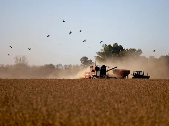 Fuerte enojo del agro por el final anticipado del beneficio de retenciones cero