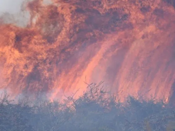 Incendios forestales en Córdoba: el fuego no da tregua y ofrecen recompensa para dar con el responsable