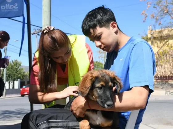 Fuerte participación vecinal en el operativo masivo de vacunación contra la rabia en la ciudad de Salta