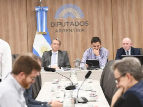 La oposición avanza dividida con la reforma de los DNU y el Gobierno podría mantener un eventual veto