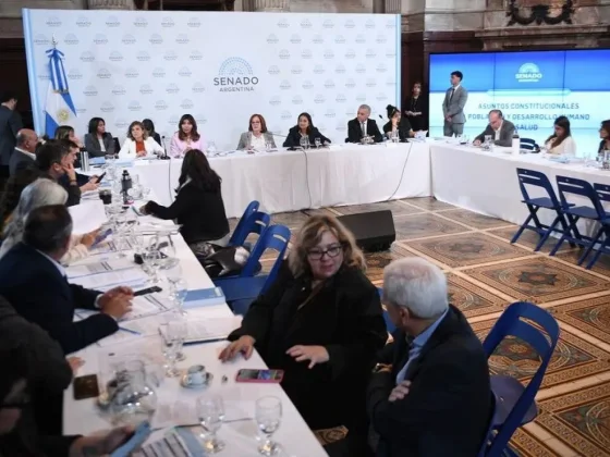 El Senado citará al ministro de Salud pero fracasó el intento de convocar a Karina Milei