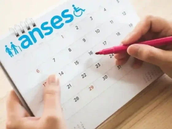 Con DNI, chequeá si cobrás un plan de Anses en octubre