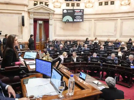 La oposición buscará rechazar en el Senado los vetos al financiamiento universitario y los fondos del Garrahan