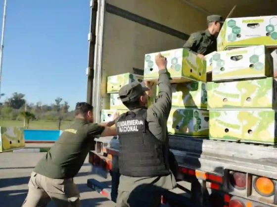 Operativo banana blanca: Detectaron más de 400 kilos de cocaína camuflados en un camión