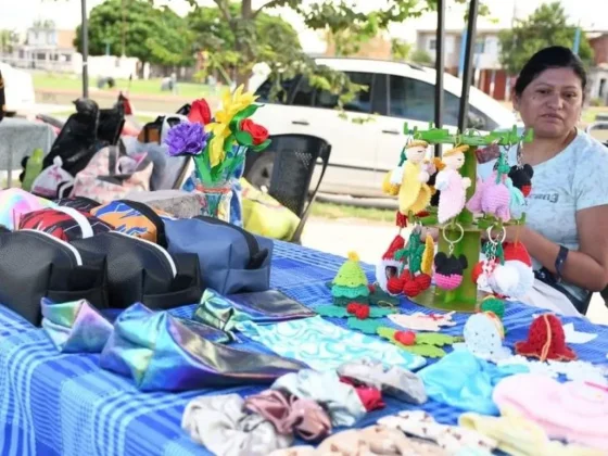 Este domingo se realiza la feria “Emprende Sur”