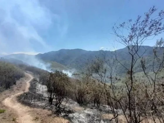 Incendios en Salta complican a San Lorenzo y la zona del aeropuerto