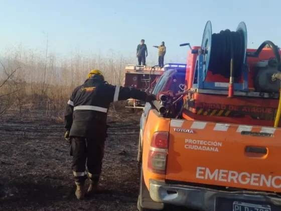 El municipio intervino en distintos incendios forestales registrados hoy