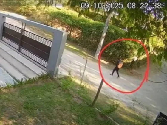 Difunden un video que muestra a Vicente Cordeyro caminando solo hacia el cerro Elefante antes de su muerte