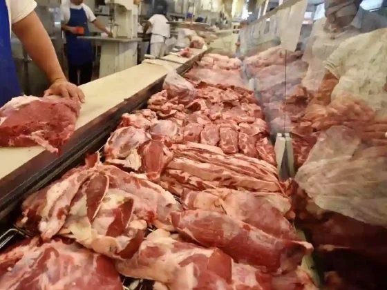 La carne recupera su lugar en la mesa de los argentinos: El consumo empieza a mostrar recuperación