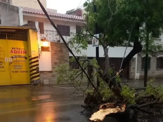 La Municipalidad intervino en más de 30 incidentes tras la tormenta