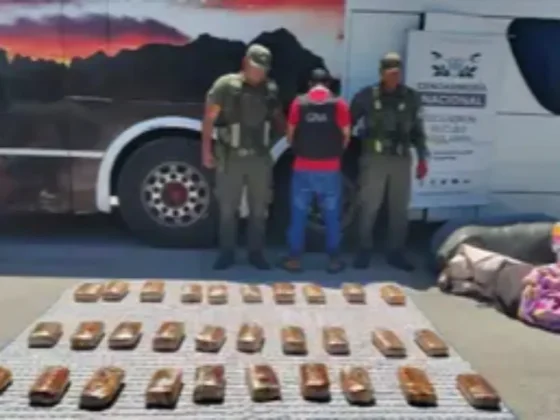 Gendarmería secuestró más de 31 kilos de marihuana camuflados entre frazadas en un colectivo que partió de Salta hacia Mendoza