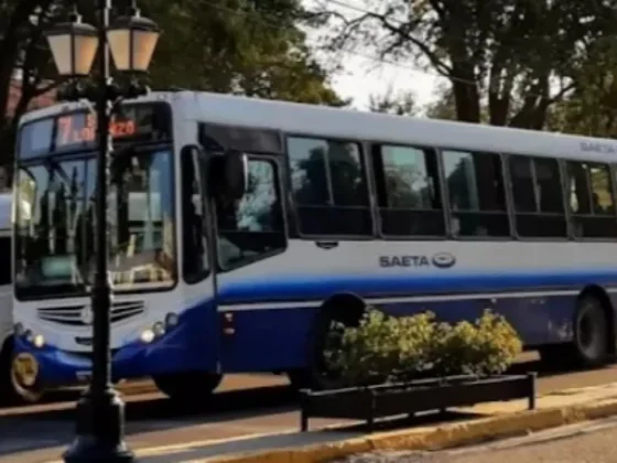 Mañana domingo será gratuito el pasaje en colectivos