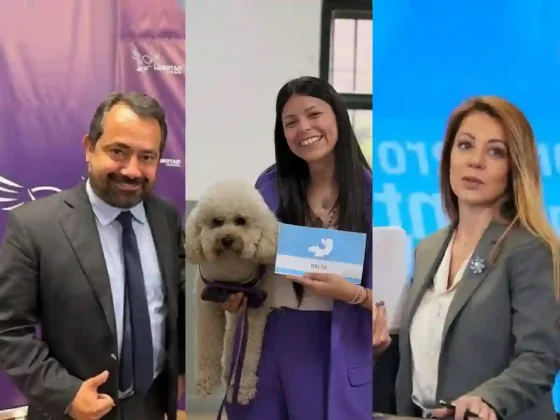 Emilia Orozco, Gonzalo Guzmán Coraita y Flavia Royón los nuevos senadores nacionales por Salta