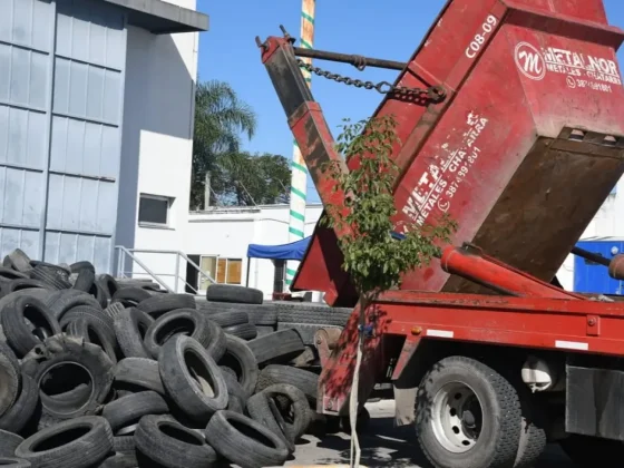 Este jueves 30 será la 18° edición del Neumatón en la playa del CCM