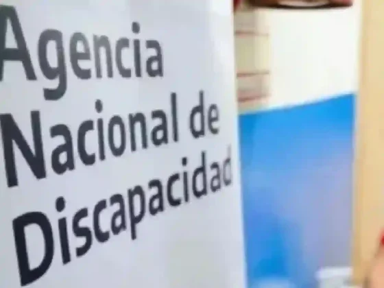 Discapacidad: El gobierno aumenta hasta 35% las prestaciones y restituyen las pensiones suspendidas
